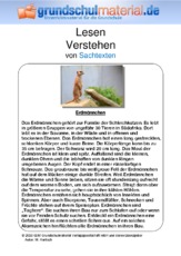 Erdmännchen - Sachtext.pdf